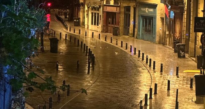 Art of Nourishment 💚💚🪻💚💚