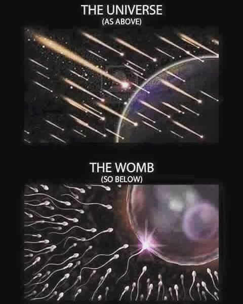 The divine mothers of the cosmos