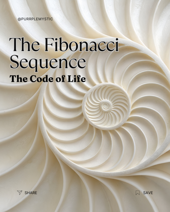 Did you know God built a secret code into you?