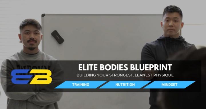 ELITE BODIES BLUEPRINT