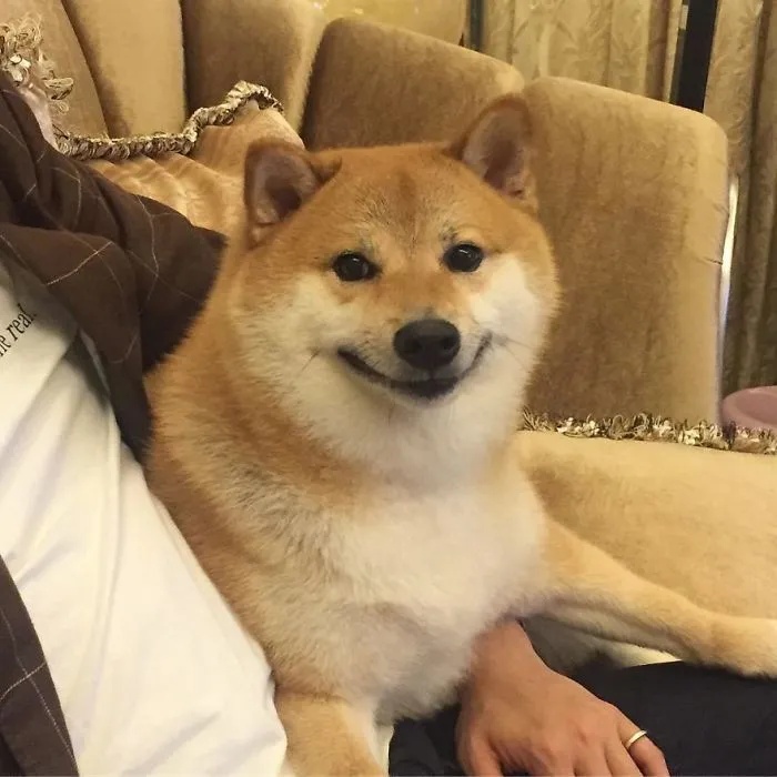 Joel Miguel Maya Castrejón