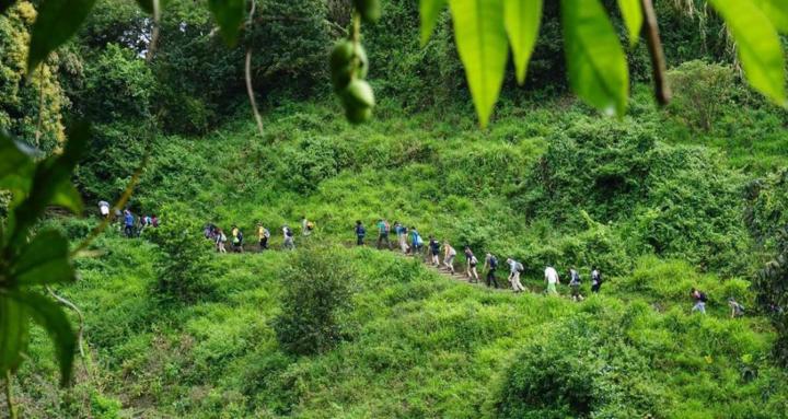 POH | Pocket Of Humanity