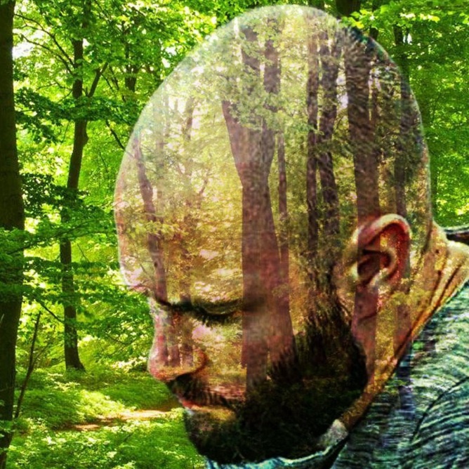 Martin Weber