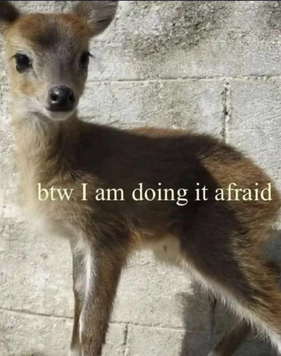 Do it Afraid! 