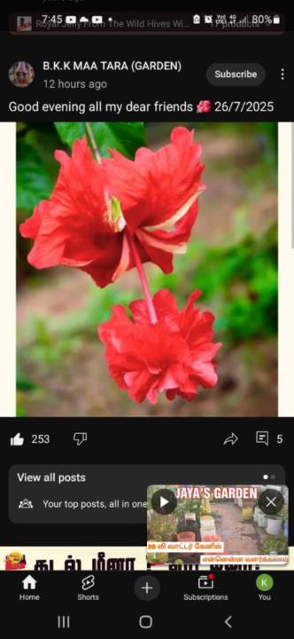 Sakthi S