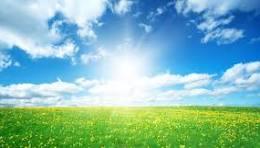 Ana María Muñoz Garcia