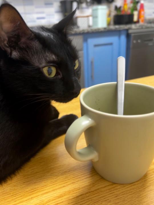 Mar Esteban de Miguel