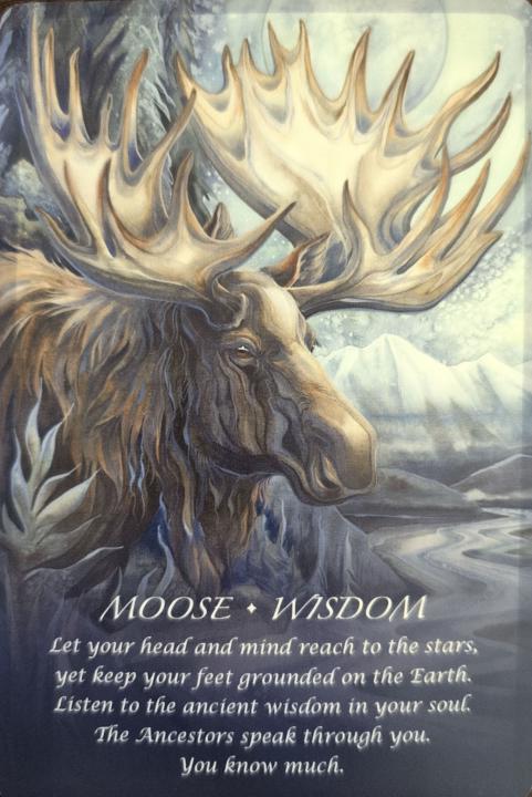 December 8th - Weekly Energy + Community Update