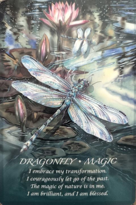 Nov. 24th Weekly Energy + Community Update