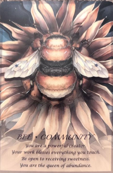 Monday Weekly Energy & Community Updates