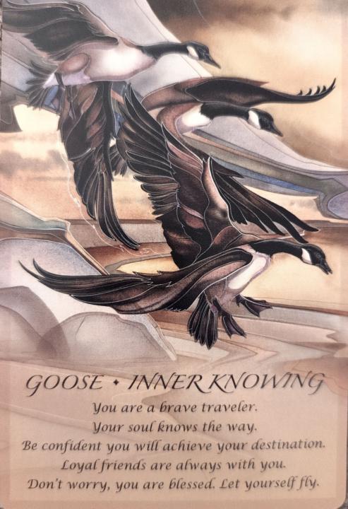 Monday Weekly Energy & Community Welcome