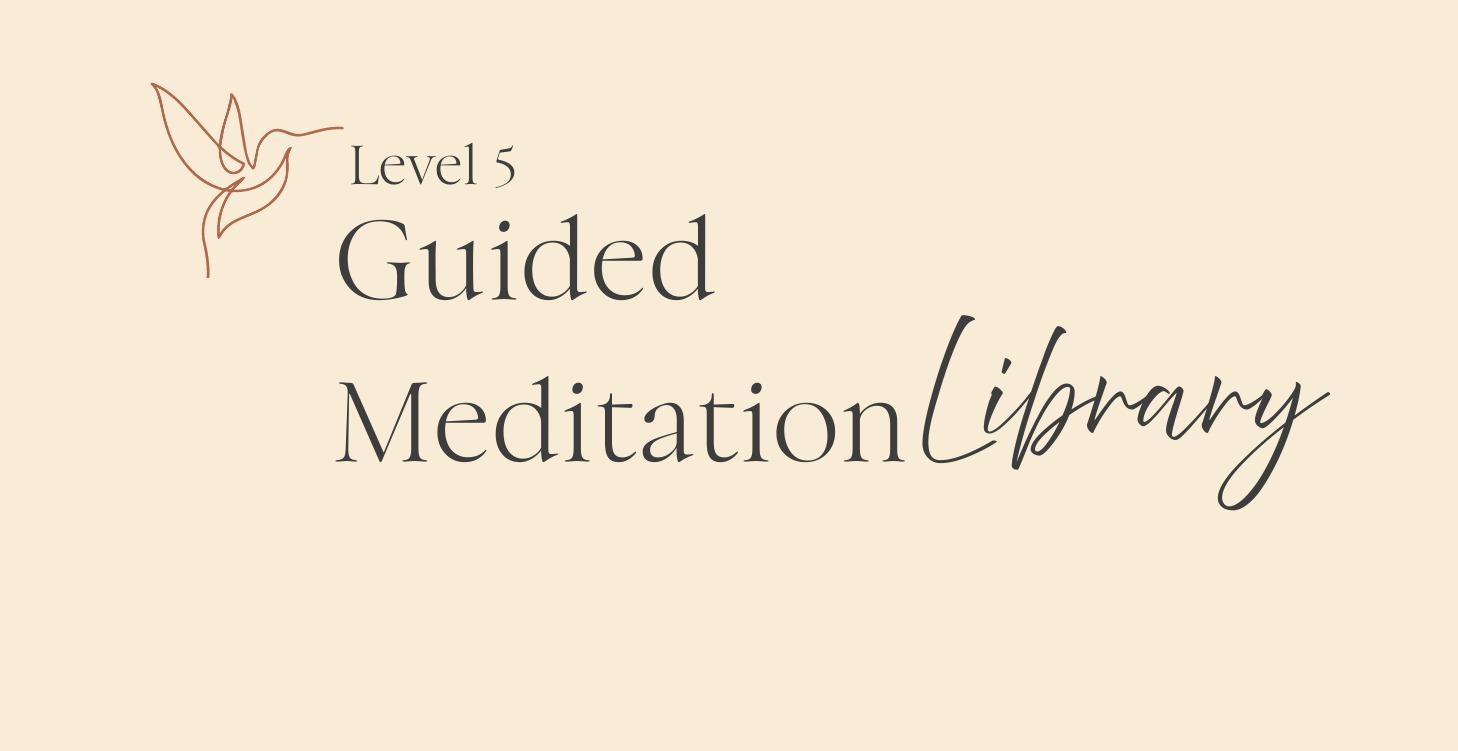 Meditation Library