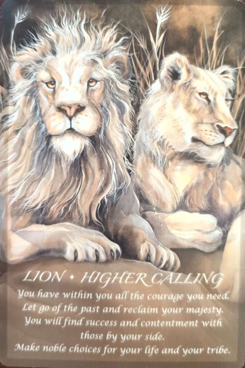 December 15th - Weekly Energy + Community Update