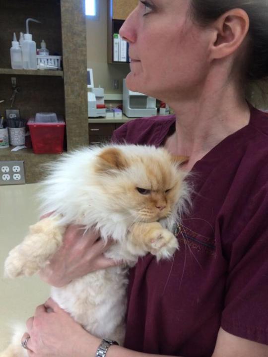 Getting Clear on Your Messaging: When Your Truth Matters More Than Agreement