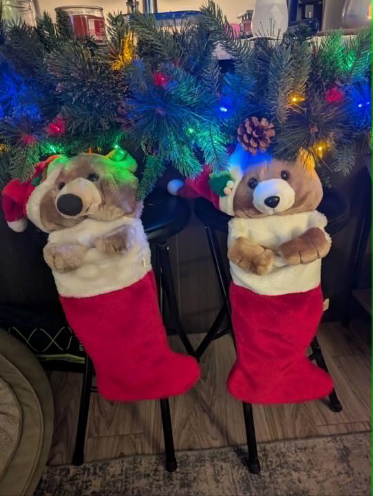 Our Social Hour last night recap: Real Humans, Holiday Stories, and Simple Joys