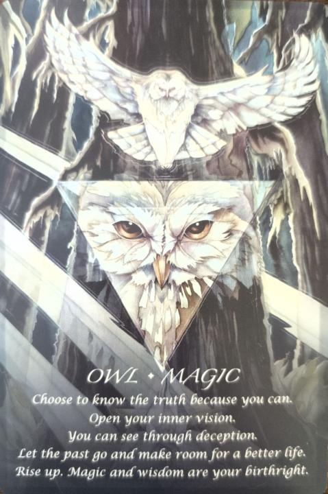 Monday Weekly Energy & Community Update