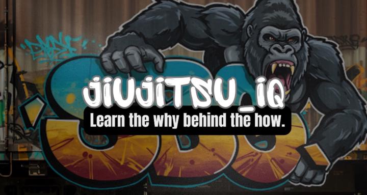 Jiujitsu IQ (Steven Winjet)