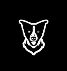 Albert Ayala Aragón