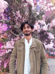 Ibrahim Shah