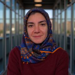 Haleh Rabbani