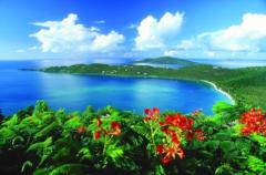 Island Trader