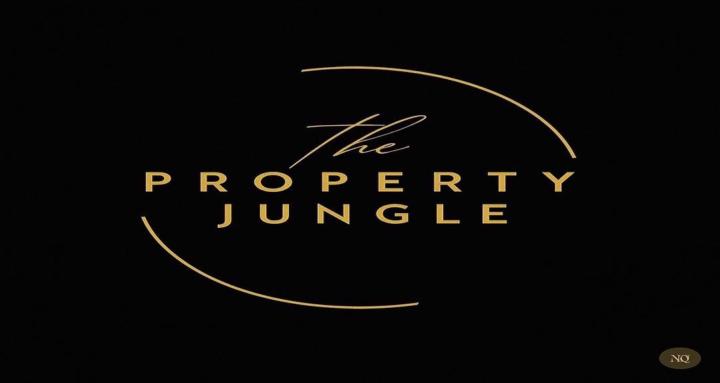 The Property Jungle 