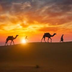 Badr Bll