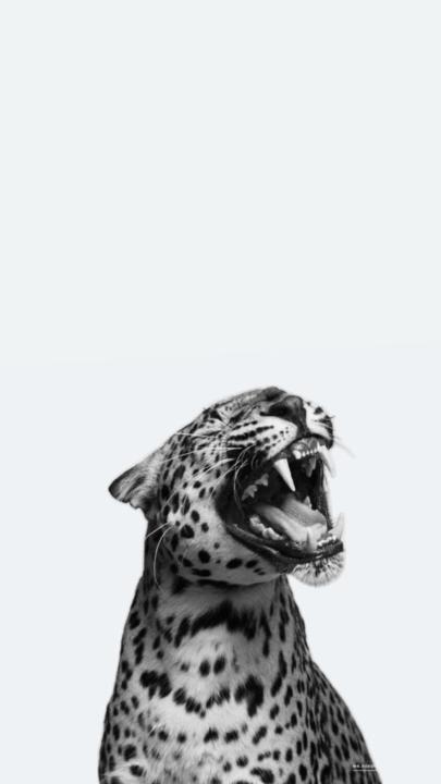 Aishwarya Kamalananthan