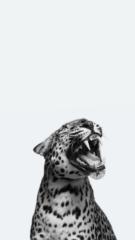 Aishwarya Kamalananthan