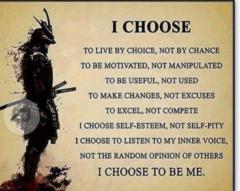 Official Ttvbotnation