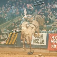 Josh Wyant