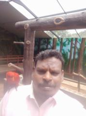 Senthilnathan Desikan