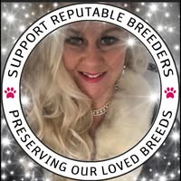 Jo Truscott
