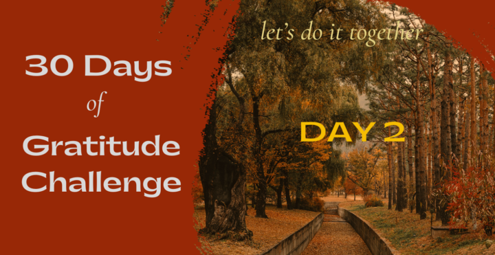 Gratitude Day 2