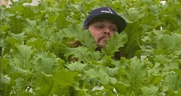 Hydroponics with Papa’s Farm