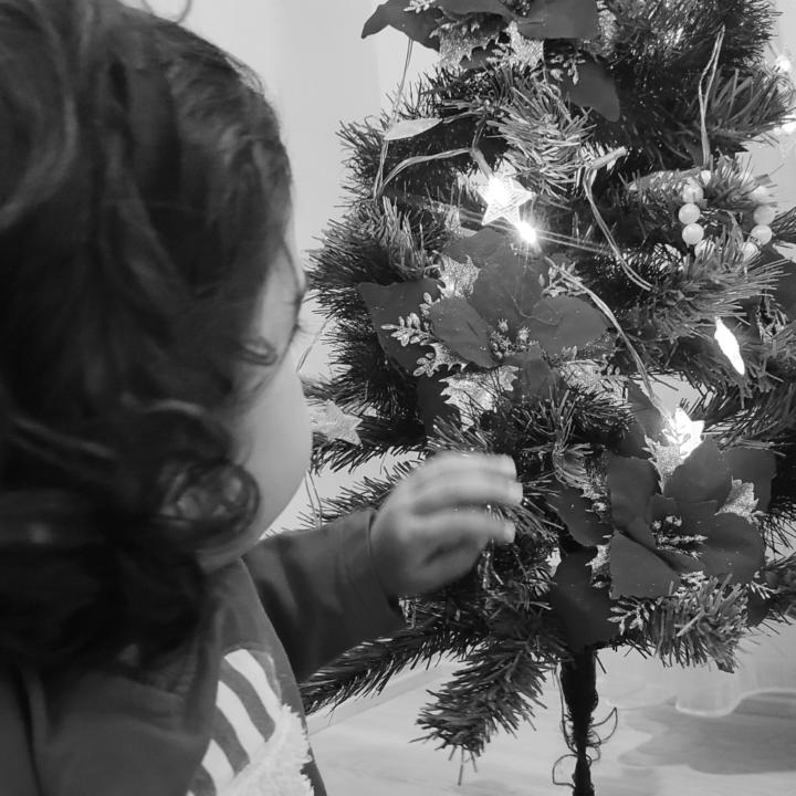 Sibelcan Kocaçonduk