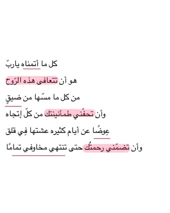 Tawheeda Elhassani