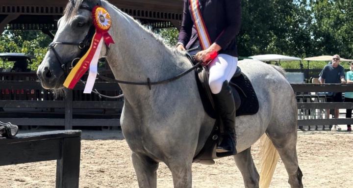 Hunter and Jumper training