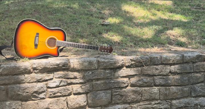 Beginner Guitar Group