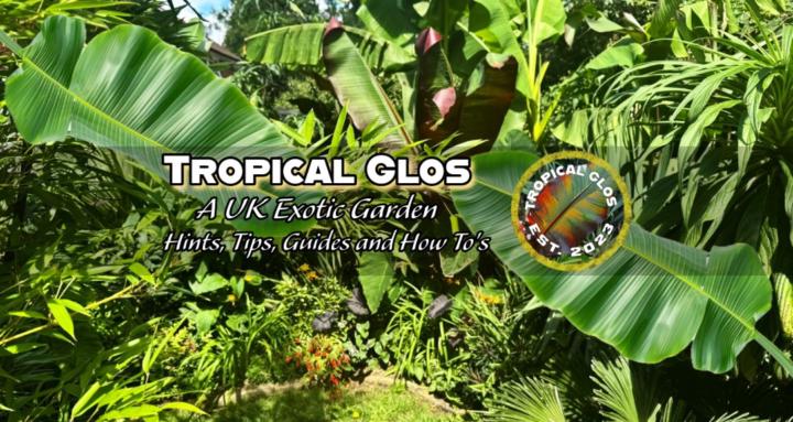 Tropical Glos Gardening
