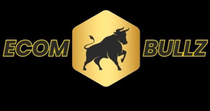 ECOM BULLZ