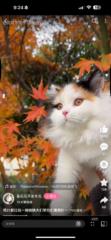 Wang Chien chien
