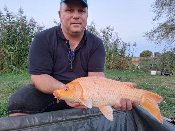 Tibor Csendes