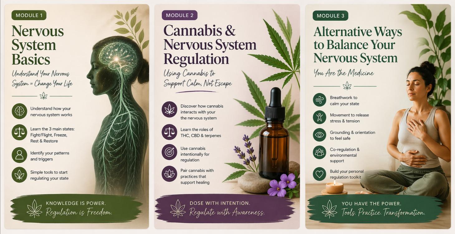 The Nervous System Series