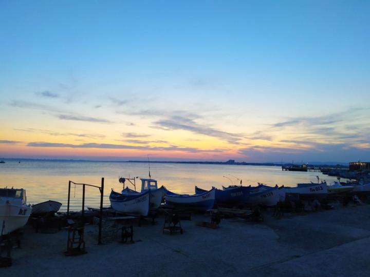 Рая Димитрова