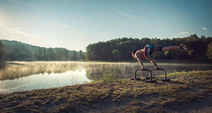 Calisthenics Beginners