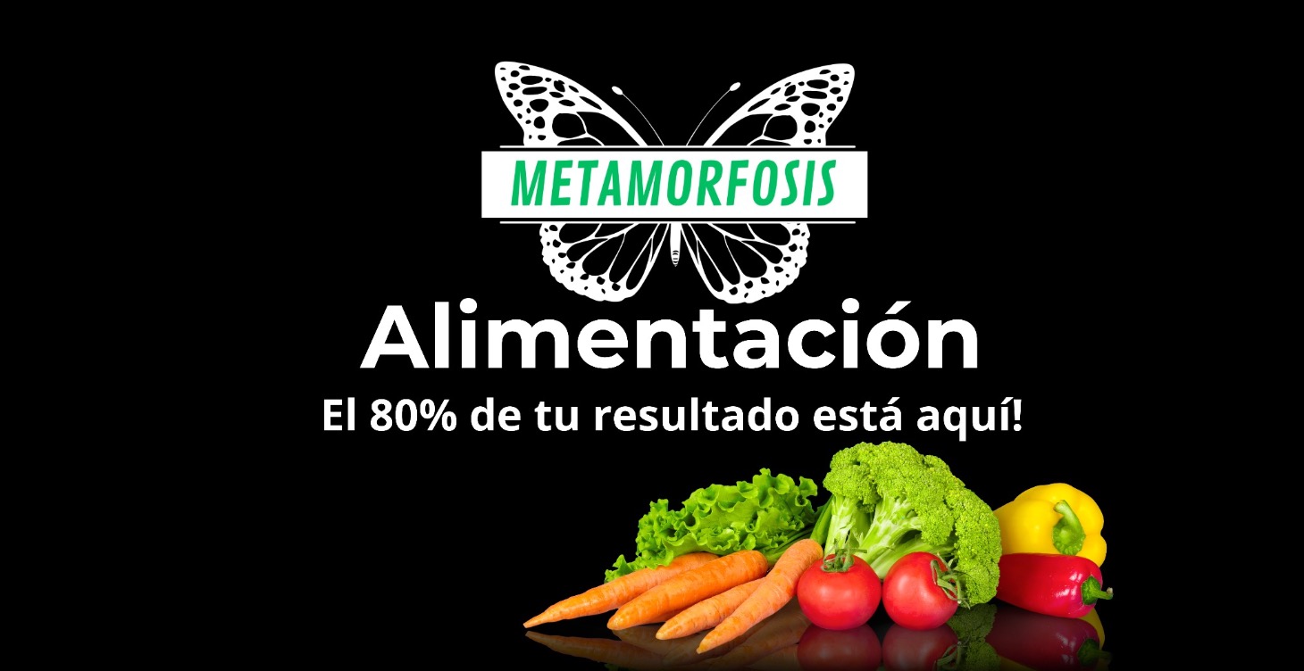Alimentación✨