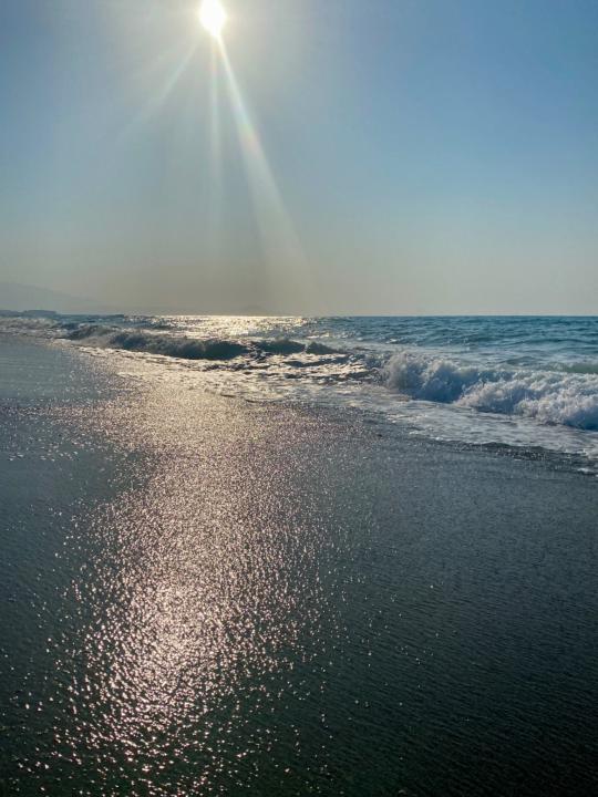 Monika Andriukaityte