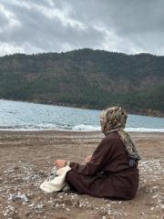 Sevgi Arz