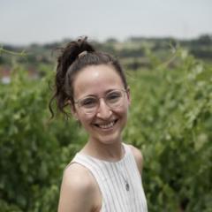 Carolina Juda